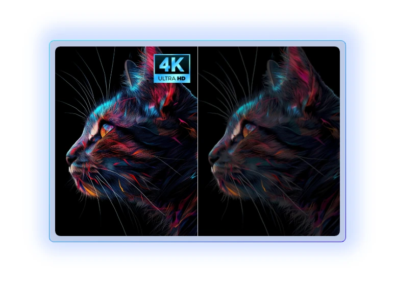 支持 3D 影像